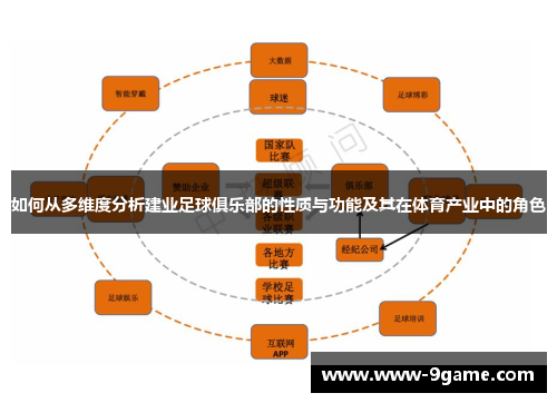 如何从多维度分析建业足球俱乐部的性质与功能及其在体育产业中的角色
