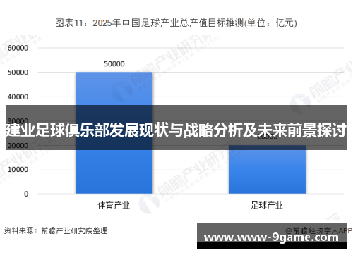 建业足球俱乐部发展现状与战略分析及未来前景探讨