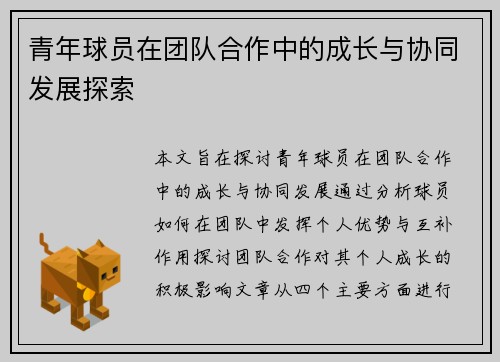 青年球员在团队合作中的成长与协同发展探索